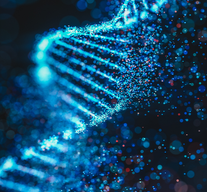 DNA-Strang