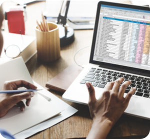 spreadsheet300x279 Bildschirm mit Tabelle