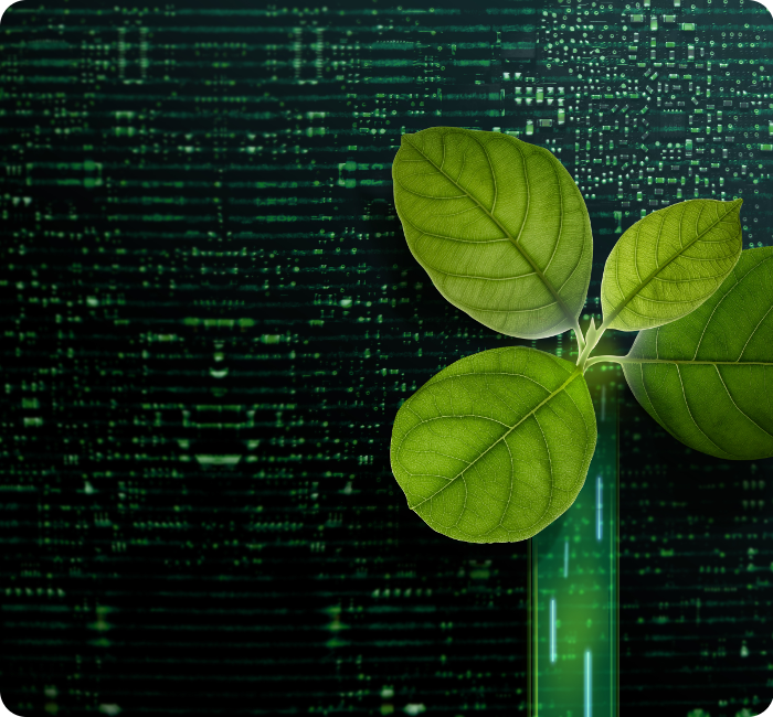 Hintergrund mit Coding Zeilen. Oben drüber grüne Blätter.
