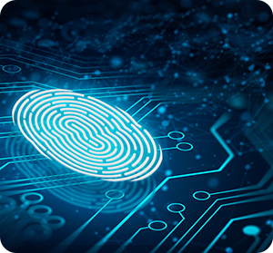 fingerprint__300x279 digital fingerprint