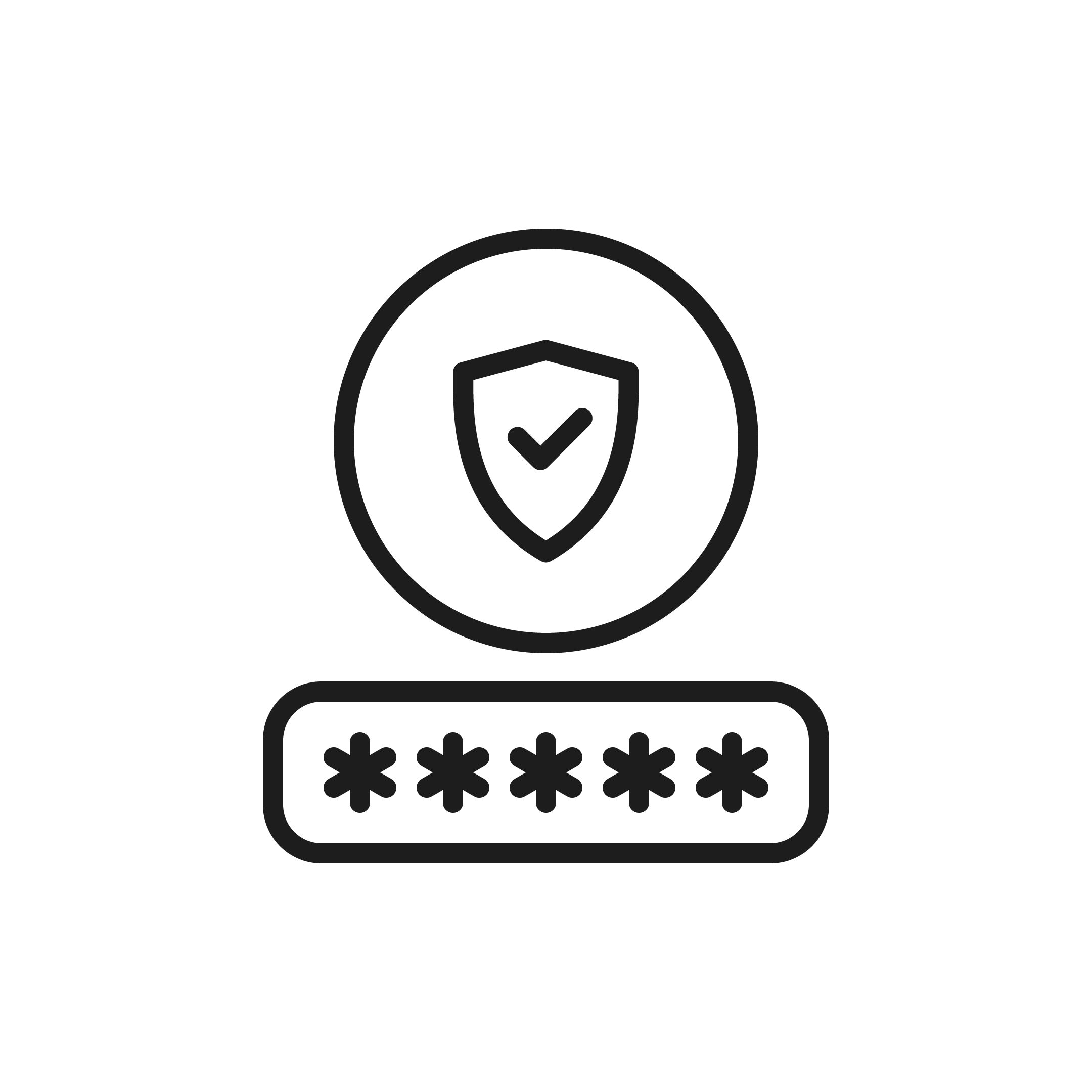 icon__passwort secuirty shield with stars which should demonstrate a password