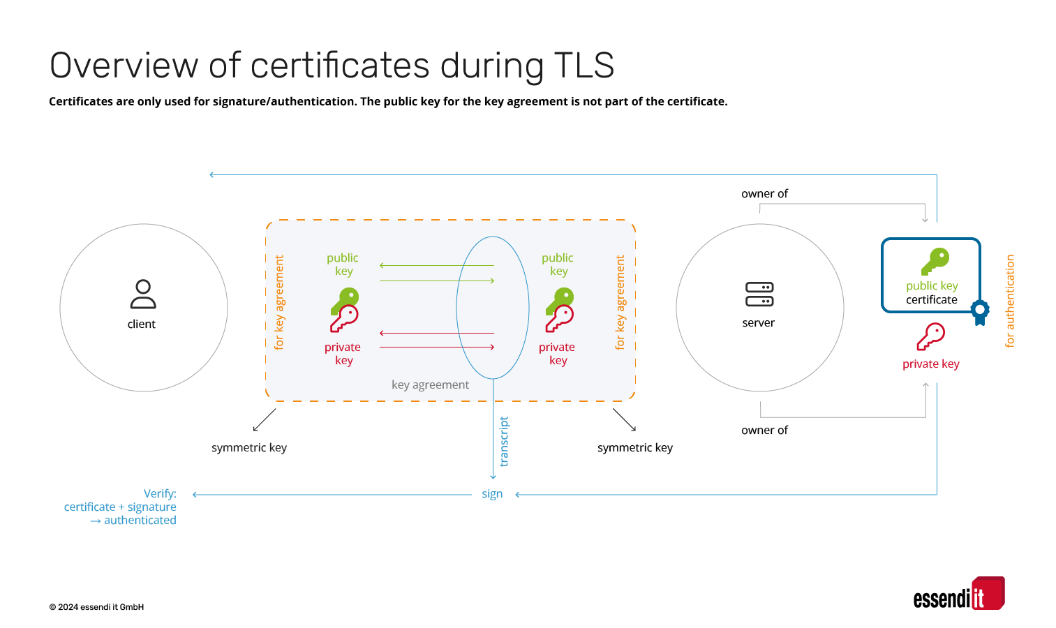 chamaeleon_certificate__V3 Infografik